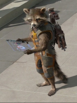 Vorlage für Rocket Raccoon