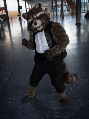 Rocket Raccoon
